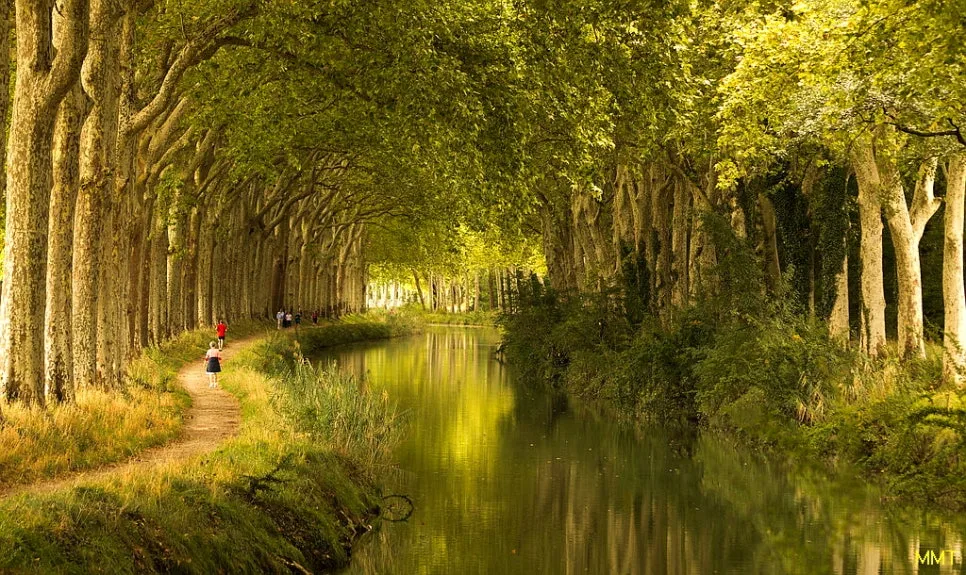 6976817183_23ba380d1d_b%EC%88%98%EC%A0%95.jpg?type=w966