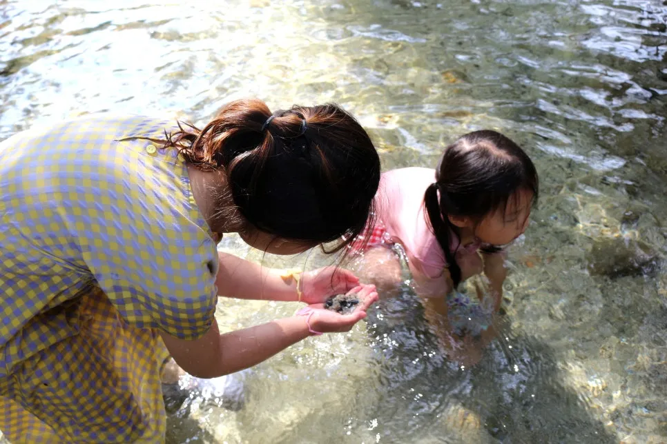 %EA%BE%B8%EB%AF%B8%EA%B8%B0IMG_6098.JPG?type=w966