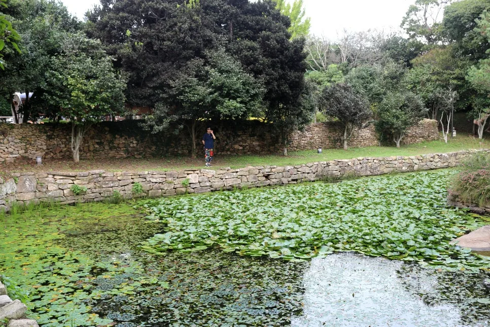 %EA%BE%B8%EB%AF%B8%EA%B8%B0%EA%BE%B8%EB%AF%B8%EA%B8%B0IMG_6602.JPG?type=w966