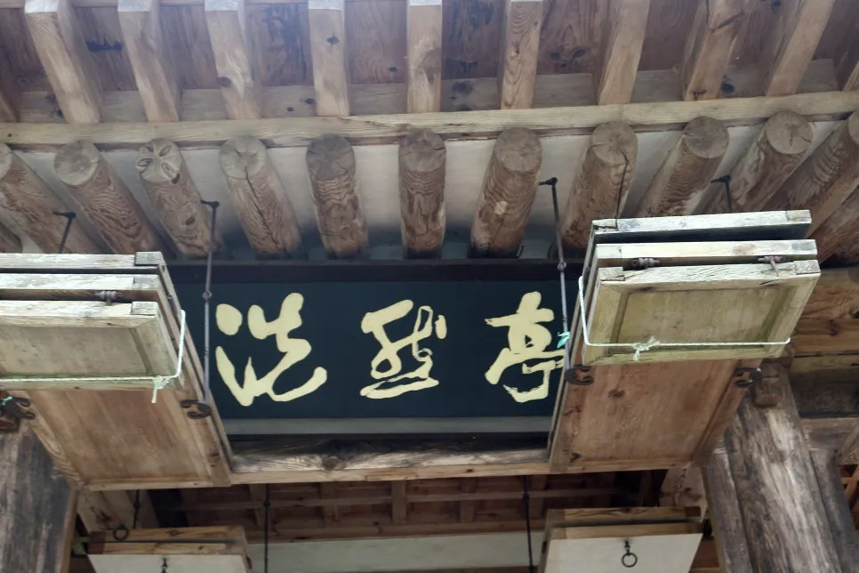 %EA%BE%B8%EB%AF%B8%EA%B8%B0%EA%BE%B8%EB%AF%B8%EA%B8%B0IMG_6591.JPG?type=w966