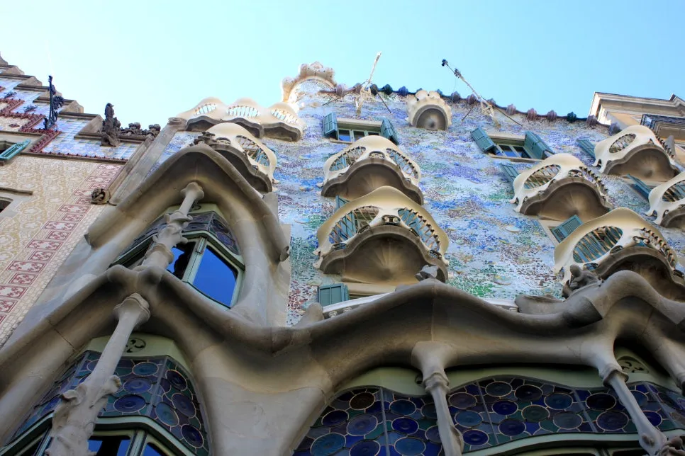 %EA%BE%B8%EB%AF%B8%EA%B8%B0IMG_7226.JPG?type=w966