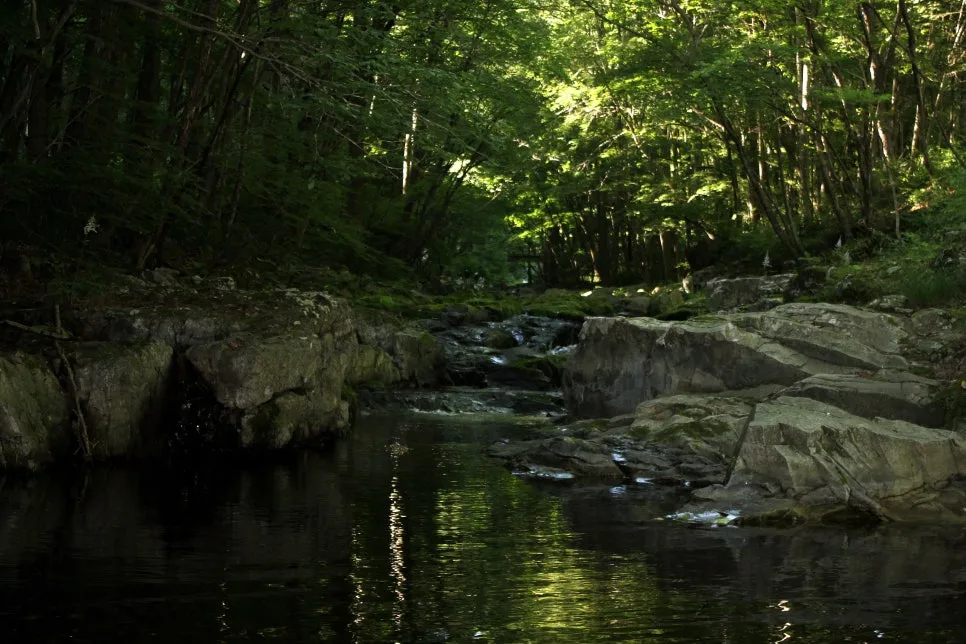 %EA%BE%B8%EB%AF%B8%EA%B8%B0%EA%BE%B8%EB%AF%B8%EA%B8%B0IMG_8639.JPG?type=w966