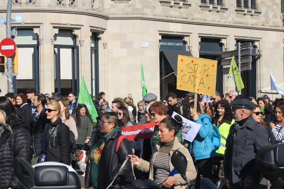 %EA%BE%B8%EB%AF%B8%EA%B8%B0IMG_7247.JPG?type=w966