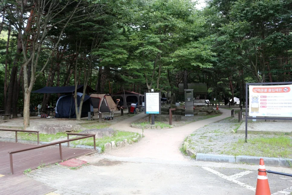 %EA%BE%B8%EB%AF%B8%EA%B8%B0%EA%BE%B8%EB%AF%B8%EA%B8%B0IMG_6132.JPG?type=w966