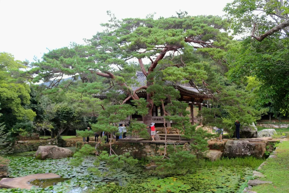 %EA%BE%B8%EB%AF%B8%EA%B8%B0%EA%BE%B8%EB%AF%B8%EA%B8%B0IMG_6604.JPG?type=w966