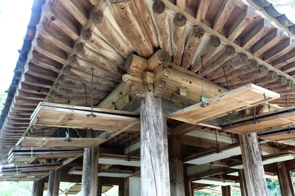 %EA%BE%B8%EB%AF%B8%EA%B8%B0%EA%BE%B8%EB%AF%B8%EA%B8%B0IMG_6588.JPG?type=w966