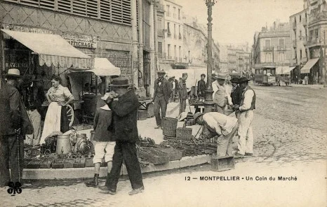 23860_931_FRAC34172_6Fi174-bis.jpeg?type=w466