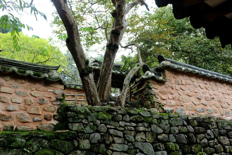 img.jpg?credential=yqXZFxpELC7KVnFOS48ylbz2pIh7yKj8&expires=1761922799&allow_ip=&allow_referer=&signature=0ZWIQ5Dz05HKbN7DF6R85nc70s0%3D