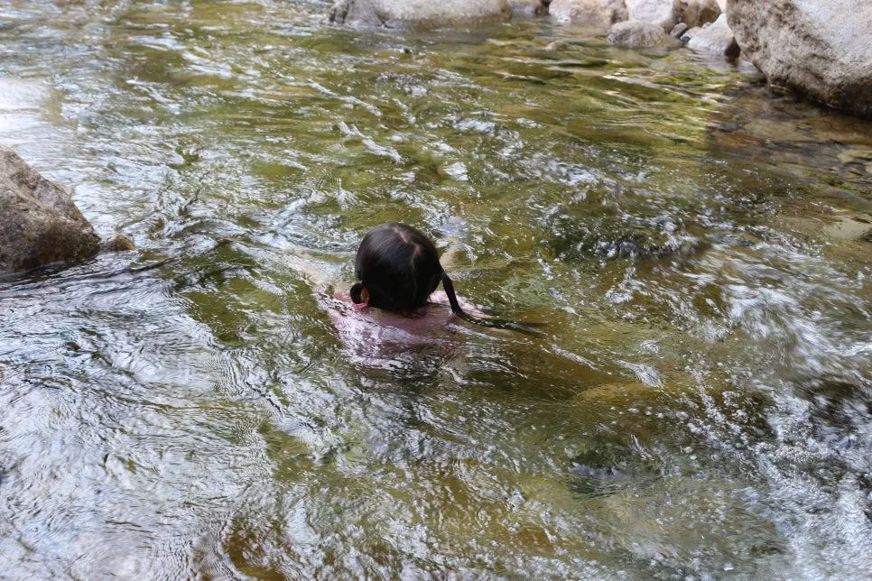 %EA%BE%B8%EB%AF%B8%EA%B8%B0IMG_6118.JPG?type=w966