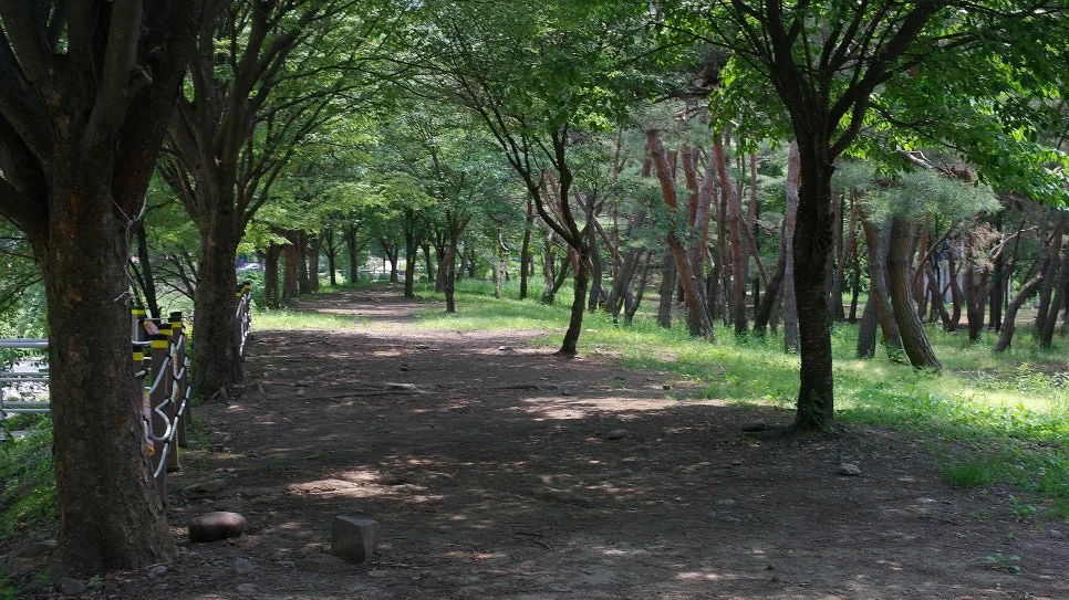 %EA%BE%B8%EB%AF%B8%EA%B8%B0%EA%BE%B8%EB%AF%B8%EA%B8%B0SAM_0076.JPG?type=w966