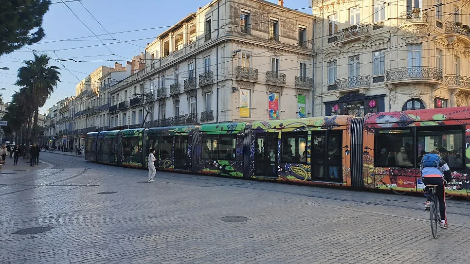 20230131_164411%EC%88%98%EC%A0%95.jpg?type=w966