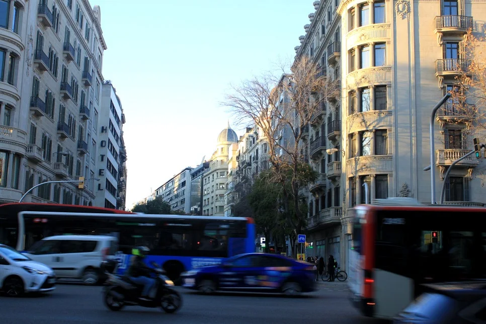 %EA%BE%B8%EB%AF%B8%EA%B8%B0IMG_6792.JPG?type=w966