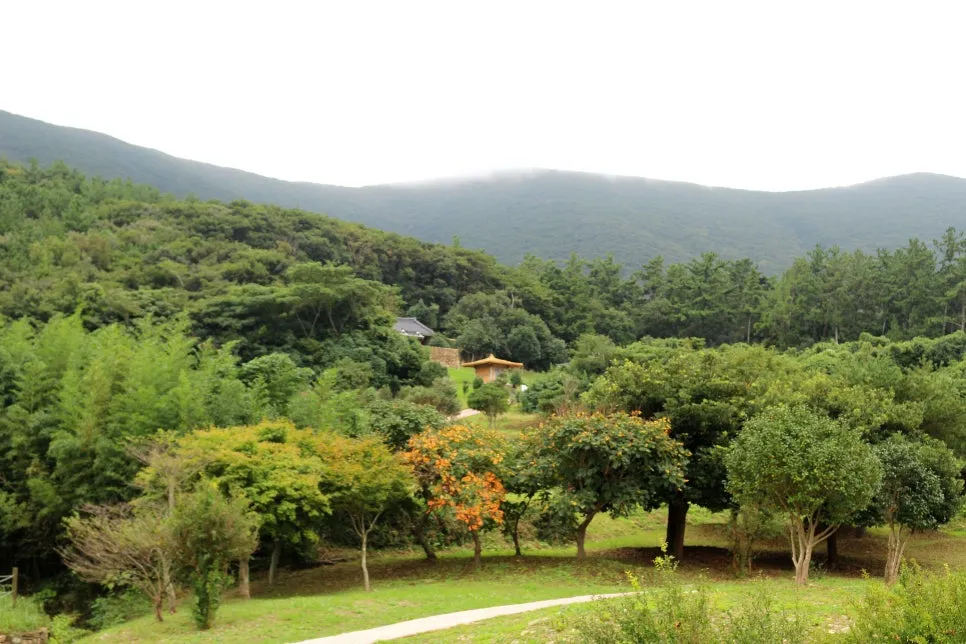 %EA%BE%B8%EB%AF%B8%EA%B8%B0%EA%BE%B8%EB%AF%B8%EA%B8%B0IMG_6648.JPG?type=w966