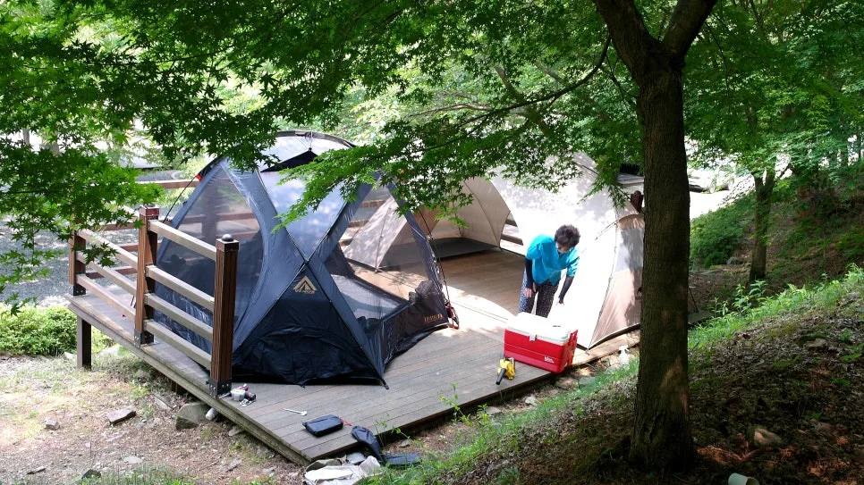 %EA%BE%B8%EB%AF%B8%EA%B8%B0%EA%BE%B8%EB%AF%B8%EA%B8%B0SAM_0016.JPG?type=w966