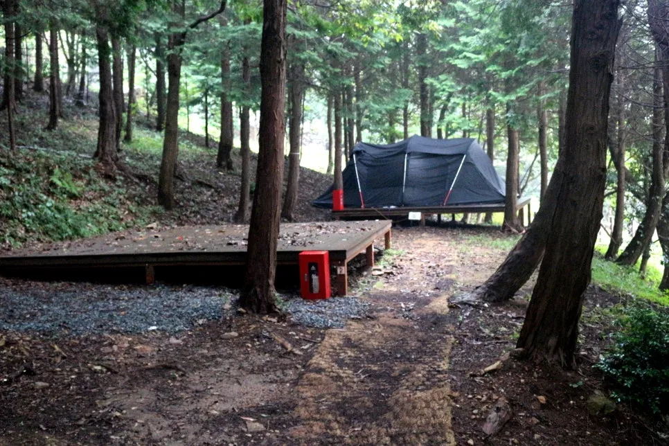 %EA%BE%B8%EB%AF%B8%EA%B8%B0IMG_6413.JPG?type=w966