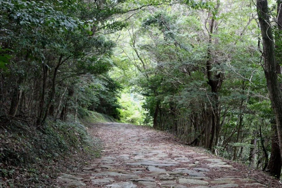 %EA%BE%B8%EB%AF%B8%EA%B8%B0%EA%BE%B8%EB%AF%B8%EA%B8%B0IMG_6672.JPG?type=w966