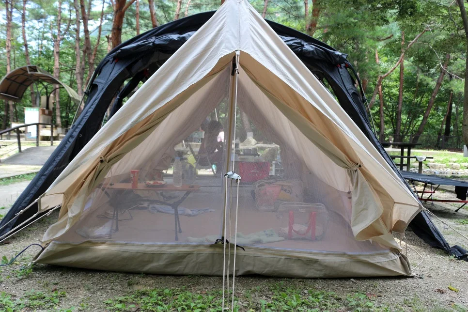 %EA%BE%B8%EB%AF%B8%EA%B8%B0%EA%BE%B8%EB%AF%B8%EA%B8%B0IMG_6027.JPG?type=w966