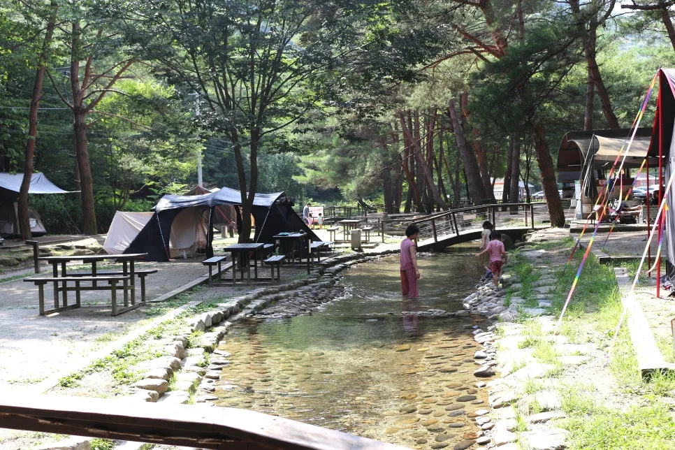 %EA%BE%B8%EB%AF%B8%EA%B8%B0IMG_6103.JPG?type=w966