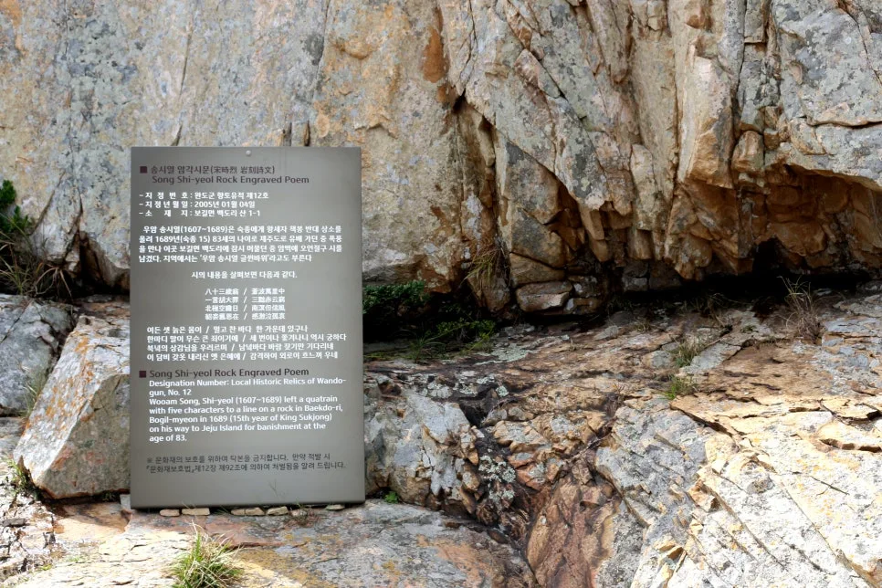 %EA%BE%B8%EB%AF%B8%EA%B8%B0%EA%BE%B8%EB%AF%B8%EA%B8%B0IMG_6665.JPG?type=w966