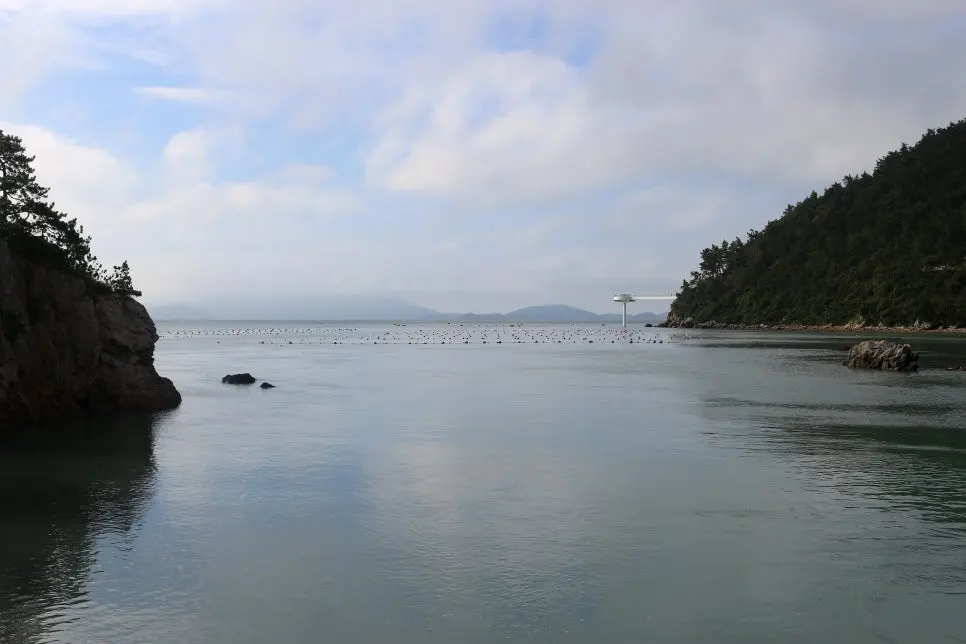 %EA%BE%B8%EB%AF%B8%EA%B8%B0%EA%BE%B8%EB%AF%B8%EA%B8%B0IMG_6546.JPG?type=w966