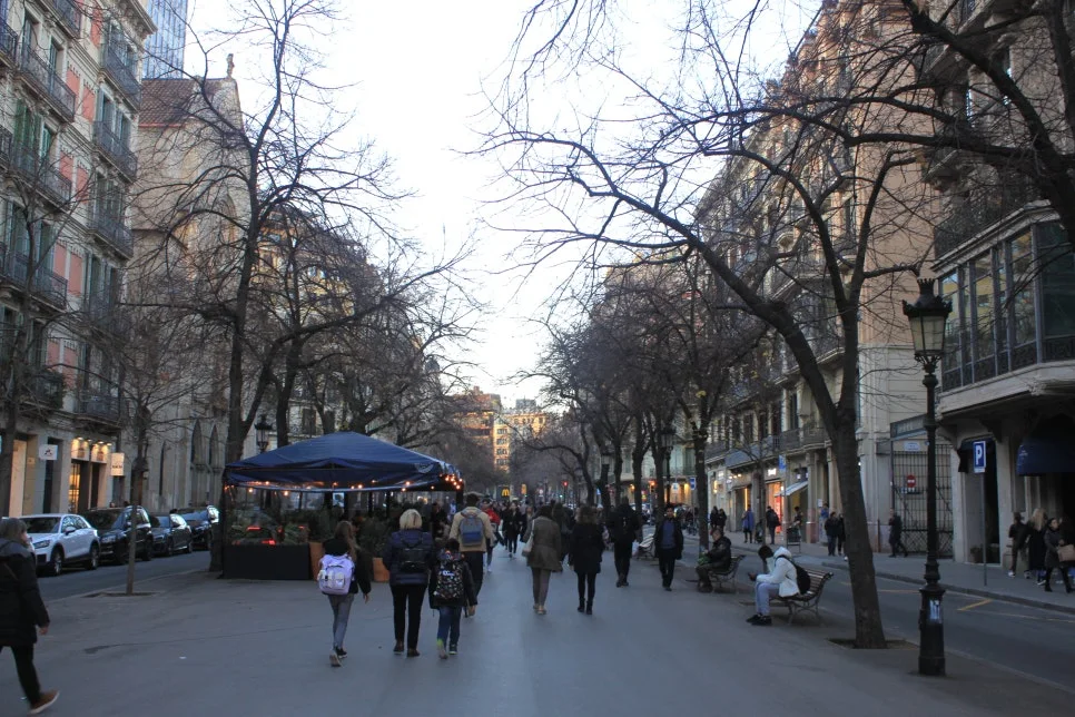 %EA%BE%B8%EB%AF%B8%EA%B8%B0IMG_6795.JPG?type=w966