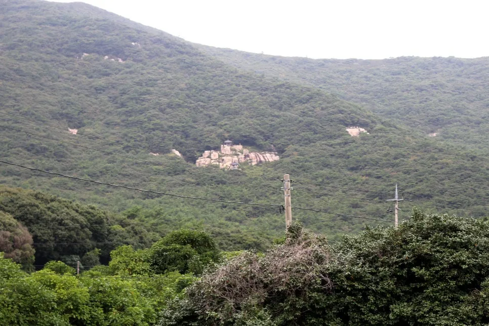 %EA%BE%B8%EB%AF%B8%EA%B8%B0%EA%BE%B8%EB%AF%B8%EA%B8%B0IMG_6654.JPG?type=w966