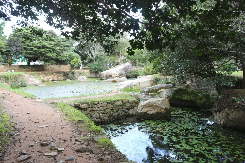 %EA%BE%B8%EB%AF%B8%EA%B8%B0%EA%BE%B8%EB%AF%B8%EA%B8%B0IMG_6574.JPG?type=w966