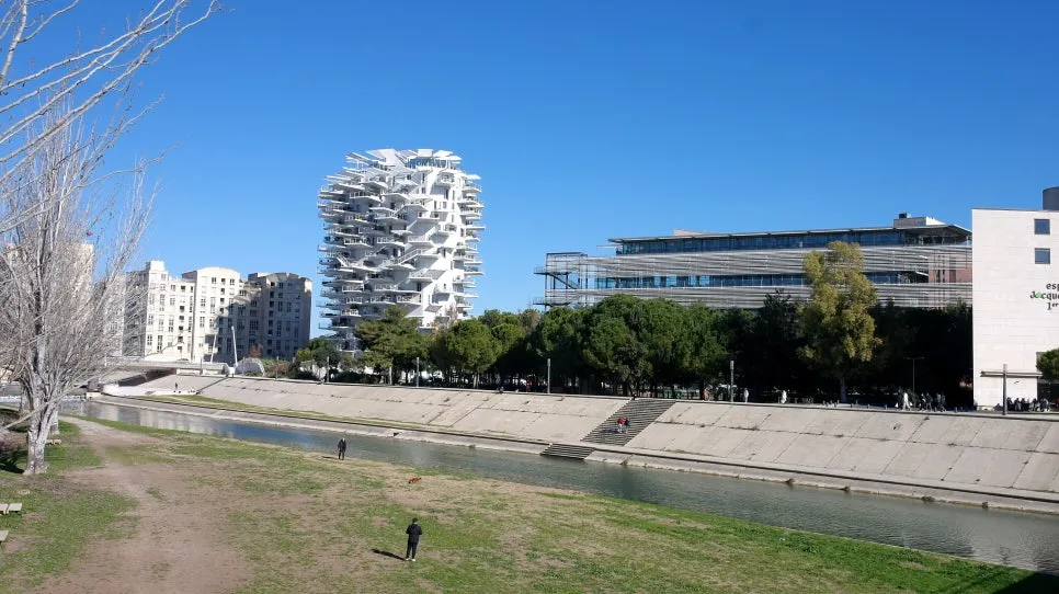 SAM_0408%EC%88%98%EC%A0%95.JPG?type=w966