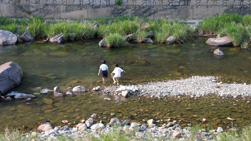 8fbdeec11492f9a6c16e93bc9037d13c6de26c10.jpg?type=w966