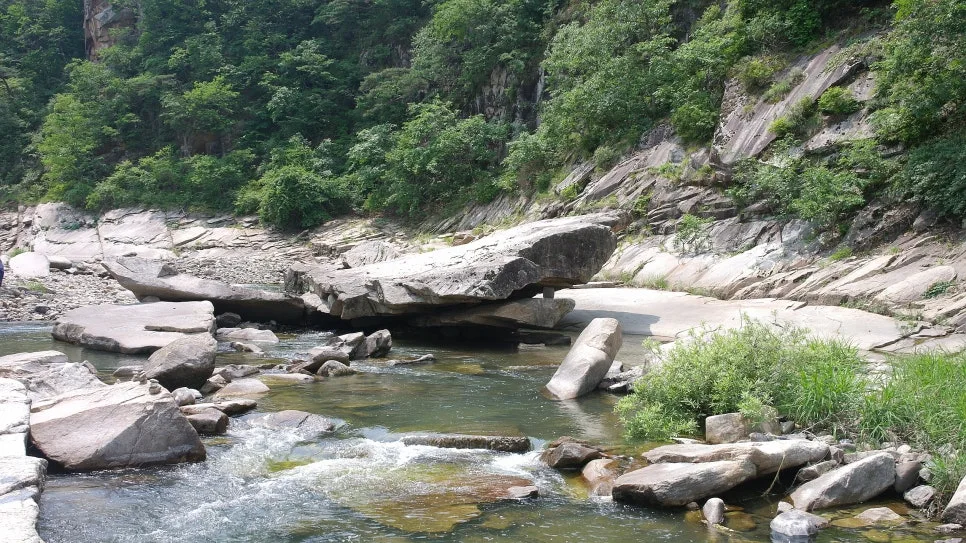 %EA%BE%B8%EB%AF%B8%EA%B8%B0%EA%BE%B8%EB%AF%B8%EA%B8%B0SAM_0091.JPG?type=w966