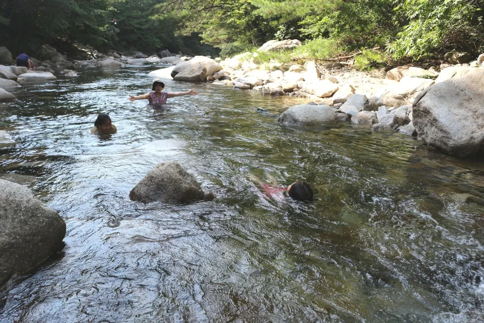 %EA%BE%B8%EB%AF%B8%EA%B8%B0IMG_6119.JPG?type=w966