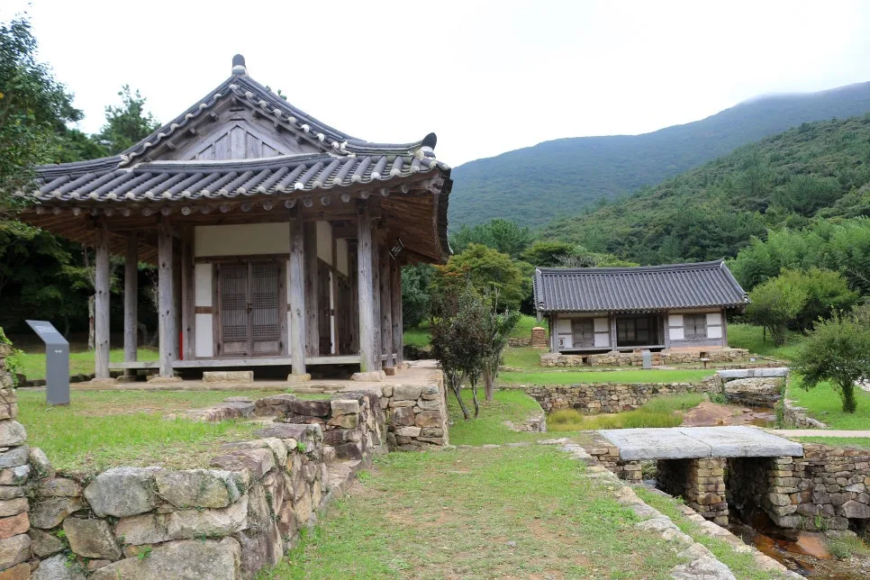 %EA%BE%B8%EB%AF%B8%EA%B8%B0%EA%BE%B8%EB%AF%B8%EA%B8%B0IMG_6649.JPG?type=w966