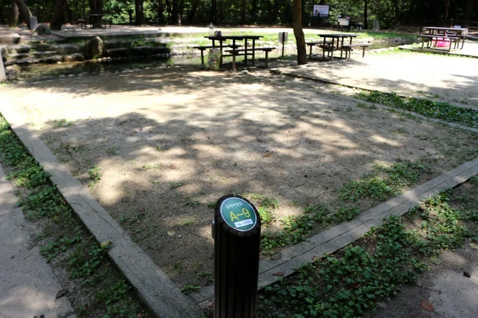 %EA%BE%B8%EB%AF%B8%EA%B8%B0%EA%BE%B8%EB%AF%B8%EA%B8%B0IMG_6216.JPG?type=w966