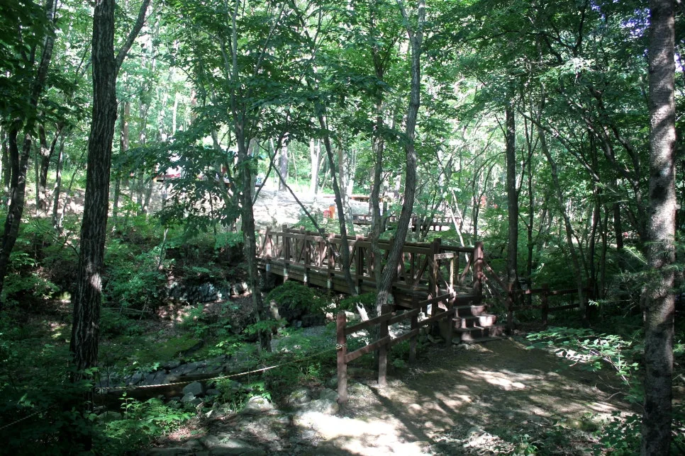 %EA%BE%B8%EB%AF%B8%EA%B8%B0%EA%BE%B8%EB%AF%B8%EA%B8%B0IMG_8613.JPG?type=w966