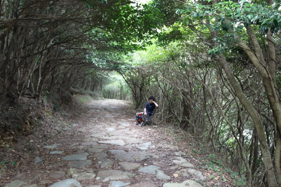 %EA%BE%B8%EB%AF%B8%EA%B8%B0%EA%BE%B8%EB%AF%B8%EA%B8%B0IMG_6668.JPG?type=w966