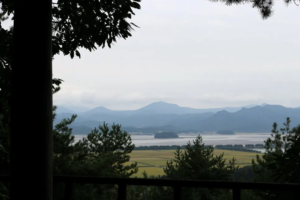 %EA%BE%B8%EB%AF%B8%EA%B8%B0IMG_6391.JPG?type=w966