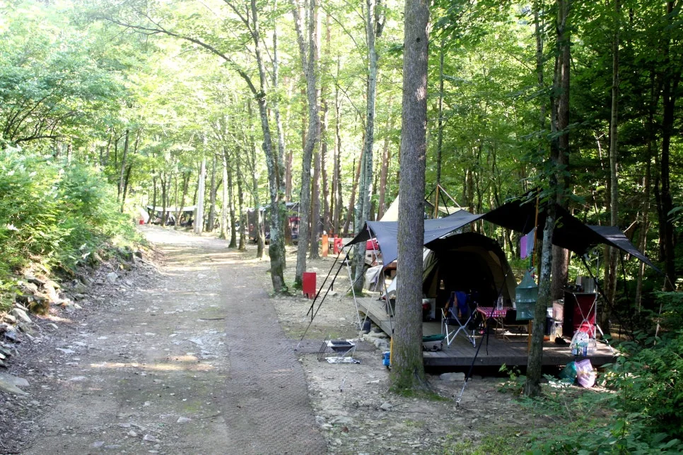 %EA%BE%B8%EB%AF%B8%EA%B8%B0%EA%BE%B8%EB%AF%B8%EA%B8%B0IMG_8632.JPG?type=w966