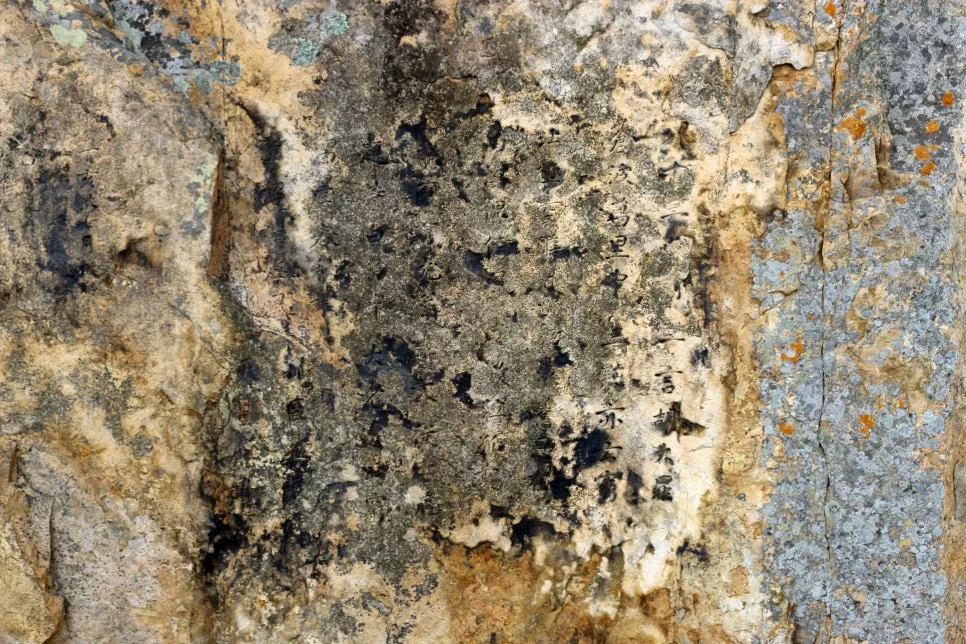 %EA%BE%B8%EB%AF%B8%EA%B8%B0%EA%BE%B8%EB%AF%B8%EA%B8%B0IMG_6659.JPG?type=w966