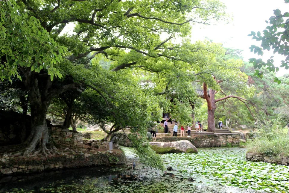 %EA%BE%B8%EB%AF%B8%EA%B8%B0%EA%BE%B8%EB%AF%B8%EA%B8%B0IMG_6608.JPG?type=w966