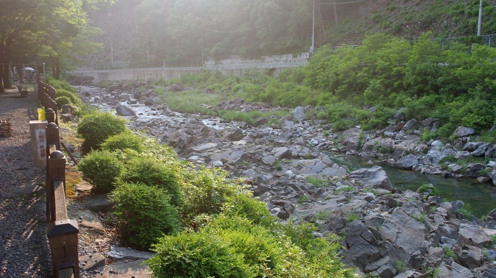 74bb3142eaafc0779544a4281592a230bfa5445c.jpg?type=w966