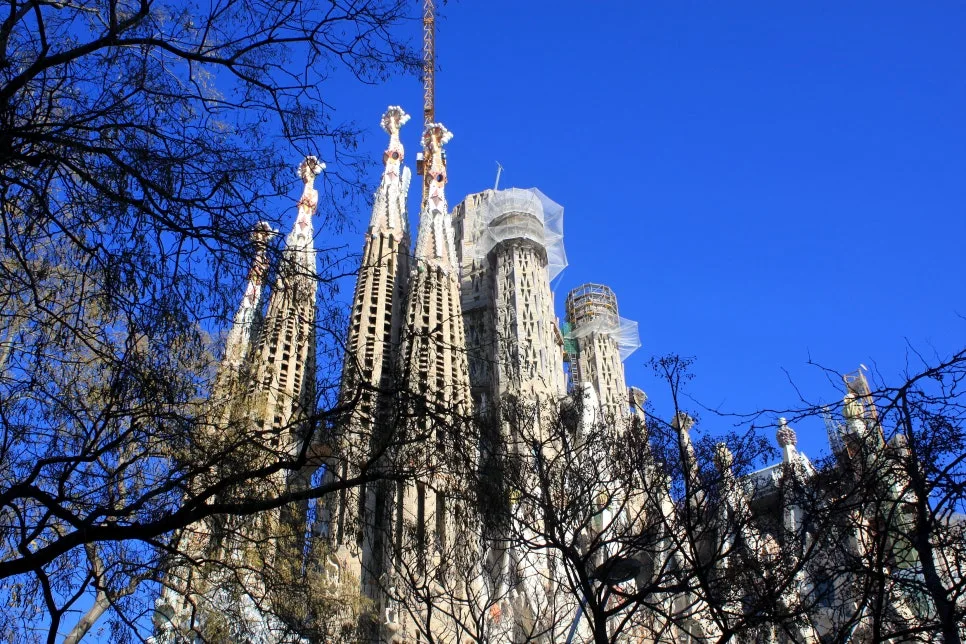 %EA%BE%B8%EB%AF%B8%EA%B8%B0IMG_7168.JPG?type=w966