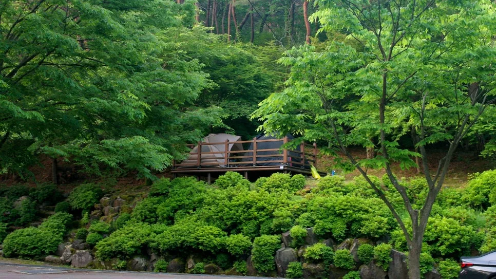 %EA%BE%B8%EB%AF%B8%EA%B8%B0%EA%BE%B8%EB%AF%B8%EA%B8%B0SAM_0054.JPG?type=w966