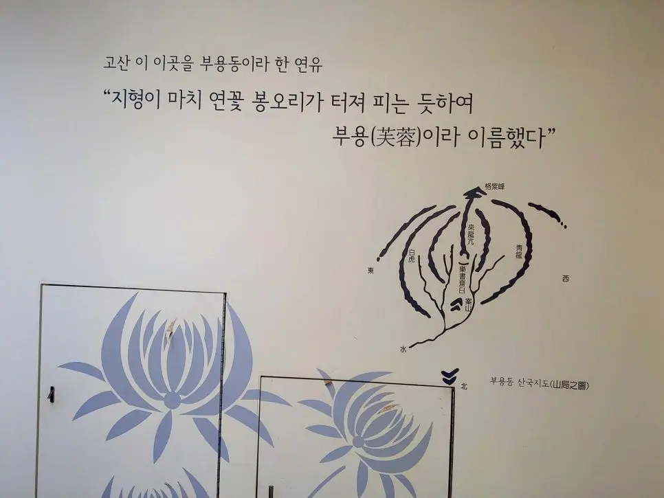 %EA%BE%B8%EB%AF%B8%EA%B8%B0img_(1).jpg?type=w966