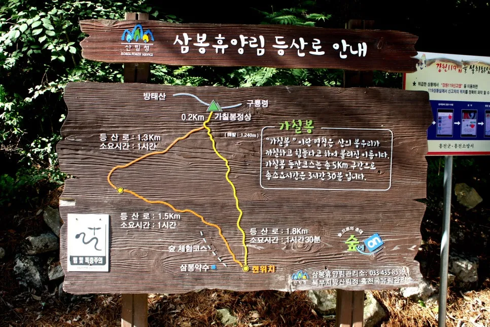 %EA%BE%B8%EB%AF%B8%EA%B8%B0%EA%BE%B8%EB%AF%B8%EA%B8%B0IMG_8641.JPG?type=w966