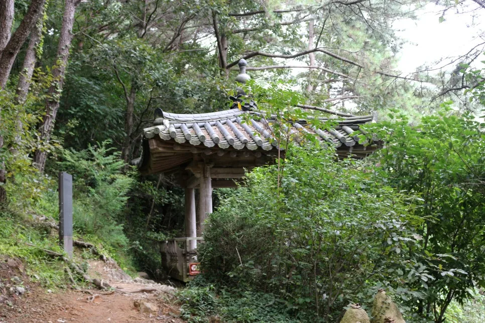 %EA%BE%B8%EB%AF%B8%EA%B8%B0IMG_6386.JPG?type=w966