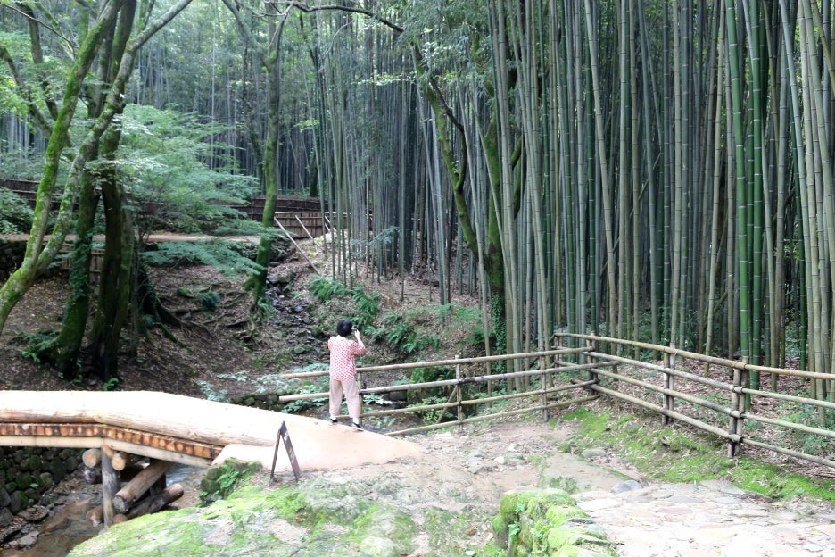 img.jpg?credential=yqXZFxpELC7KVnFOS48ylbz2pIh7yKj8&expires=1761922799&allow_ip=&allow_referer=&signature=aOuLzWD99pT4Z6FlWea0769Wd3E%3D