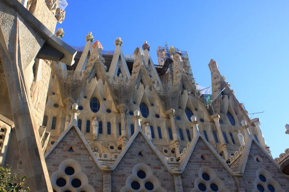 %EA%BE%B8%EB%AF%B8%EA%B8%B0IMG_7151.JPG?type=w966