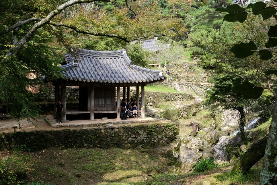 %EA%BE%B8%EB%AF%B8%EA%B8%B0IMG_6270.JPG?type=w966