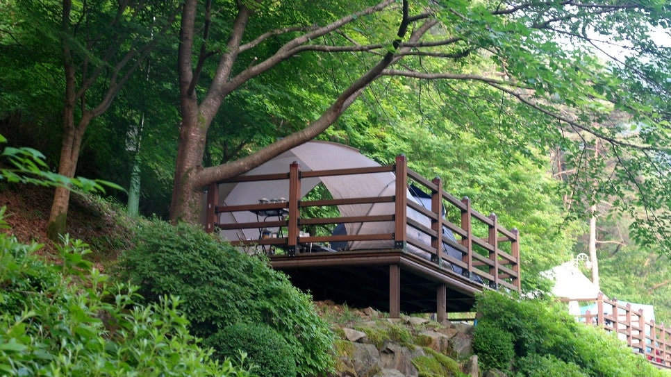 805bdaad055cb7e91765923e0e5e7160865e911f.jpg?type=w966