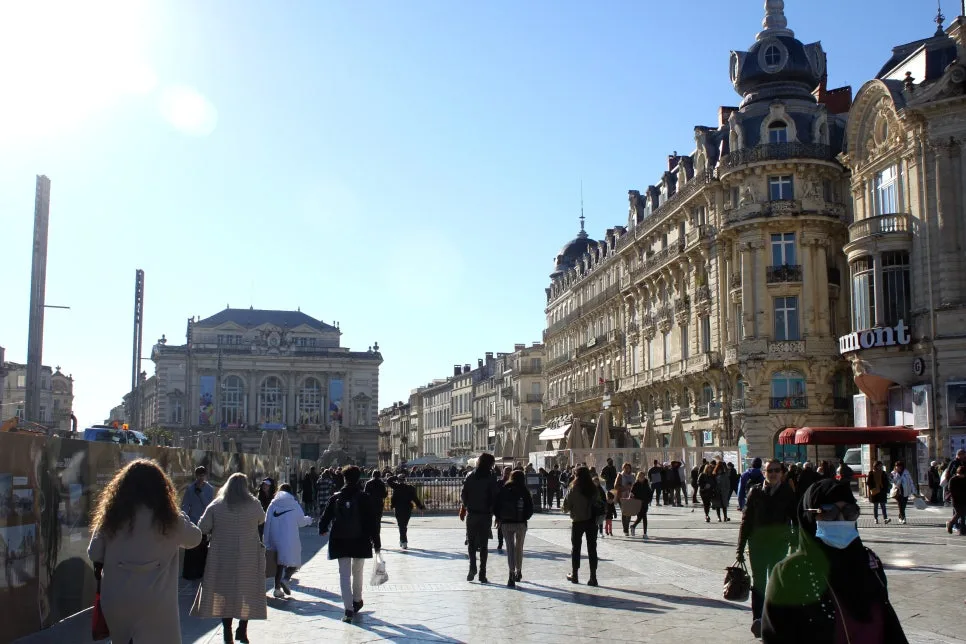 IMG_6694%EC%88%98%EC%A0%95.JPG?type=w966